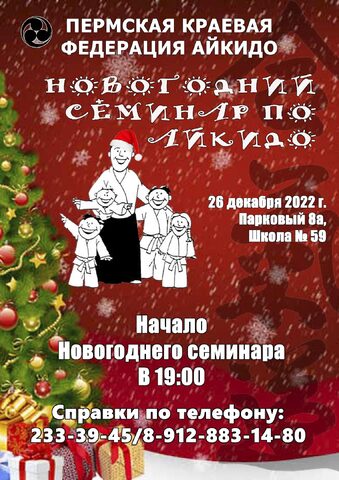 Новогодний семинар